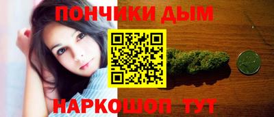 Альфа ПВП Дубна