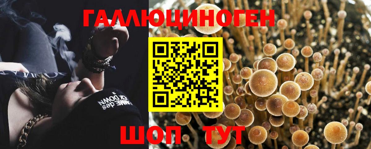 Галлюциногенные грибы Psilocybine cubensis  Псилоцибиновые грибы Magic Shrooms  Вход с VPN  Сальск 